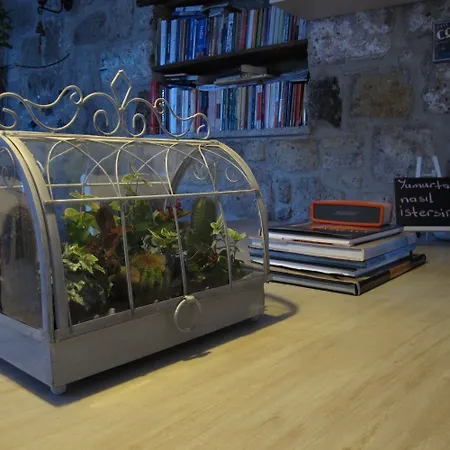 Мини-отель Masala